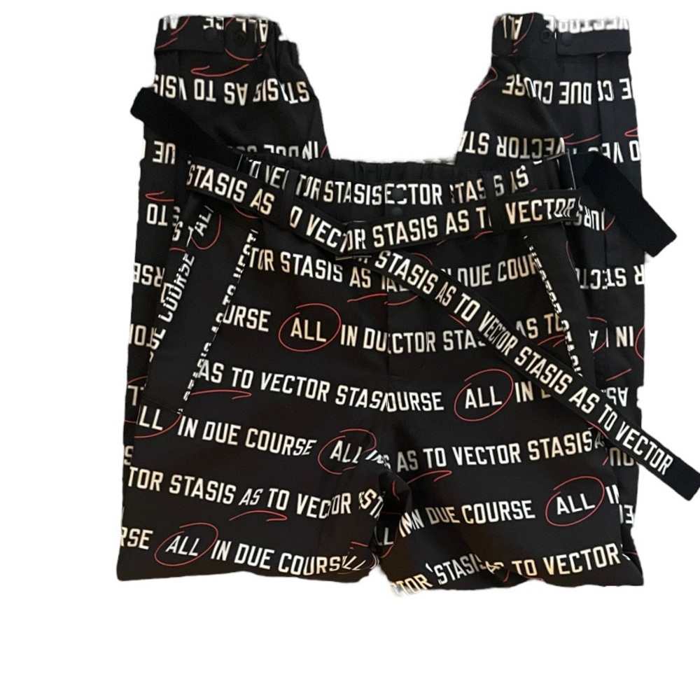 Sacai “all in due course” jogger pants (size 1, US small)